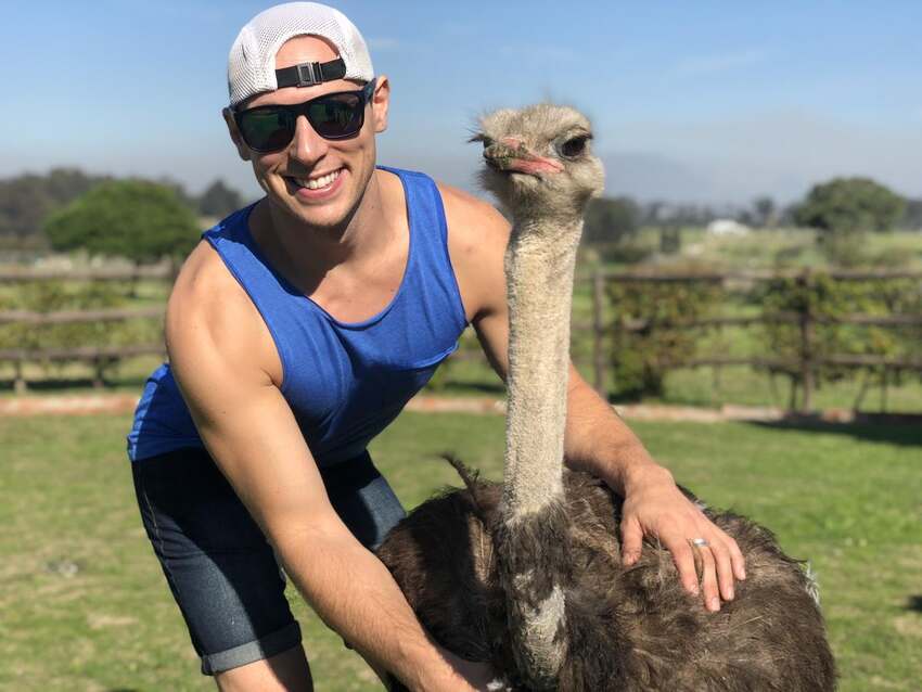 Ostrich Farm, South Africa